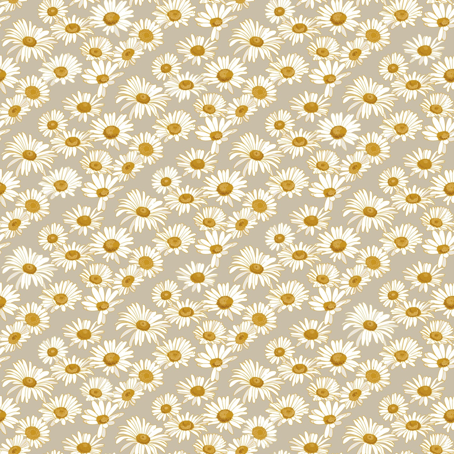 Daisies Wallpaper