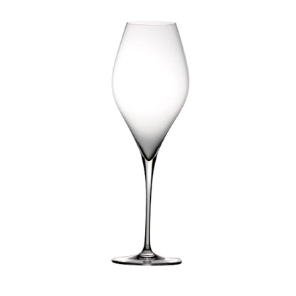 Vem Sparkling & White Wine Glasses (Set of 6)
