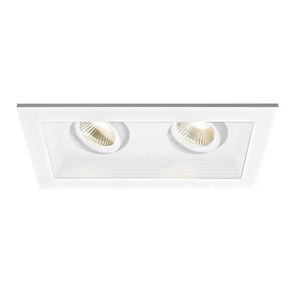 Mini Multiple Spots Two Light Recessed Trim and Housing